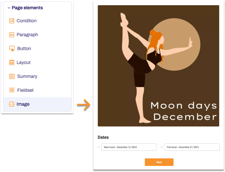 The form element Image can be seen in an example form.