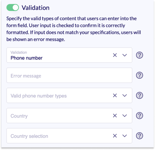 Section of the editing area. The validator Phone is selected.